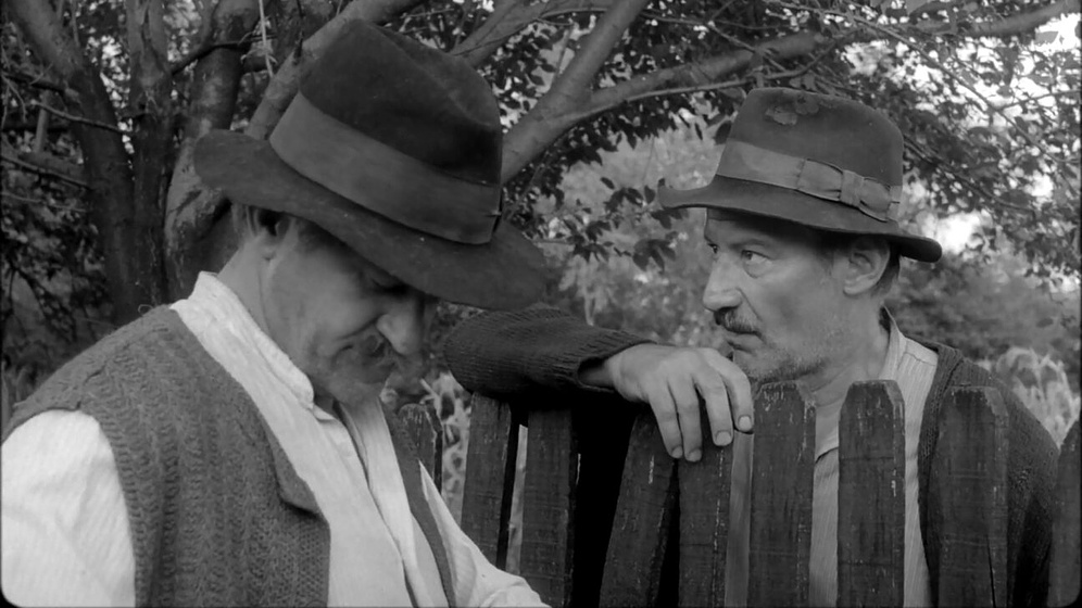 Victor Rebengiuc en The Moromete Family