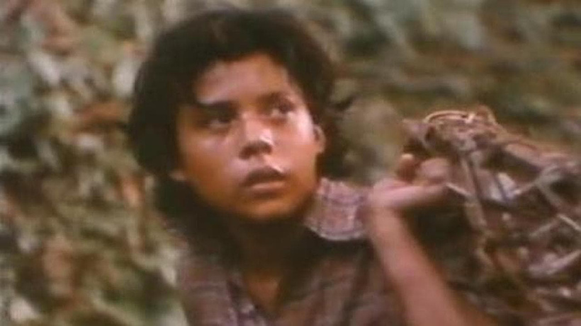 Imagen de Alsino y el cóndor