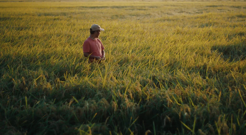 Imagen de Tokito: The 540-Day Journey of a Culinary Maverick