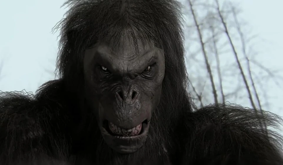 Imagen de bigfoot