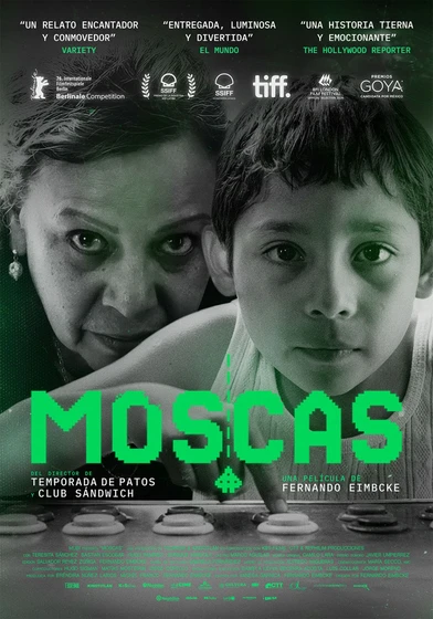 Imagen de moscas-2025 (Cartel español)