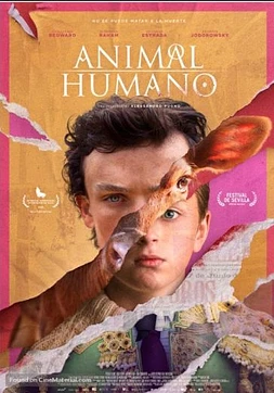 Animal | Humano