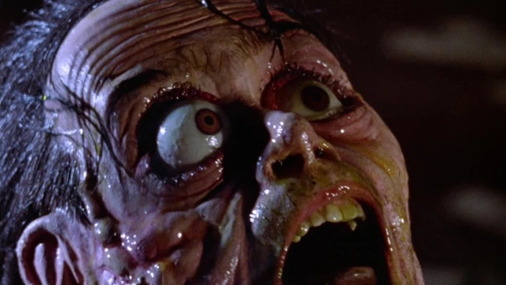 Imagen de mosquito-1994