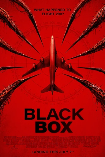 Poster de Black Box. Vuelo 298