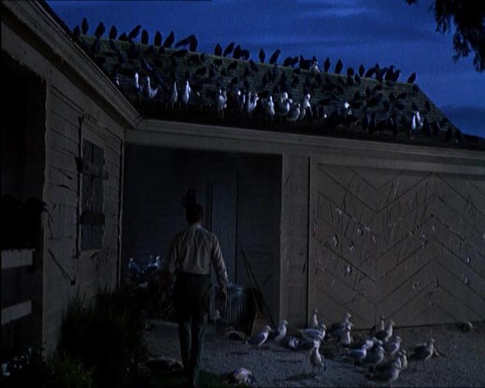 still of movie Los Pájaros