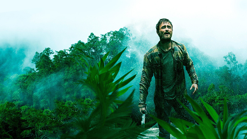Imagen de La Jungla
