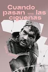 poster of movie Cuando pasan las cigüeñas