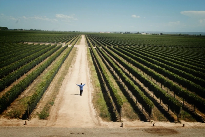 Imagen de el-camino-del-vino