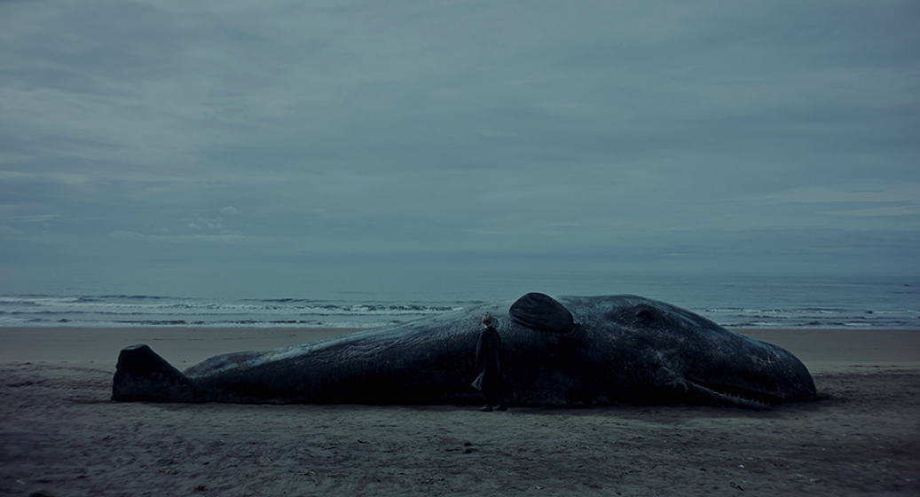 Imagen de Una Ballena