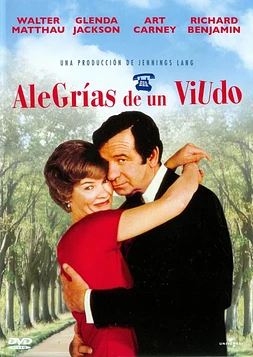 poster of movie Alegrías de un viudo
