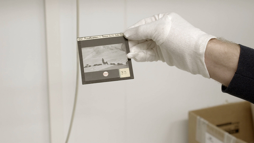 Imagen de Dear Future