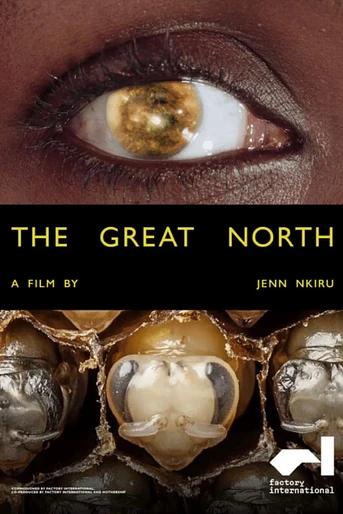 Poster de The Great North