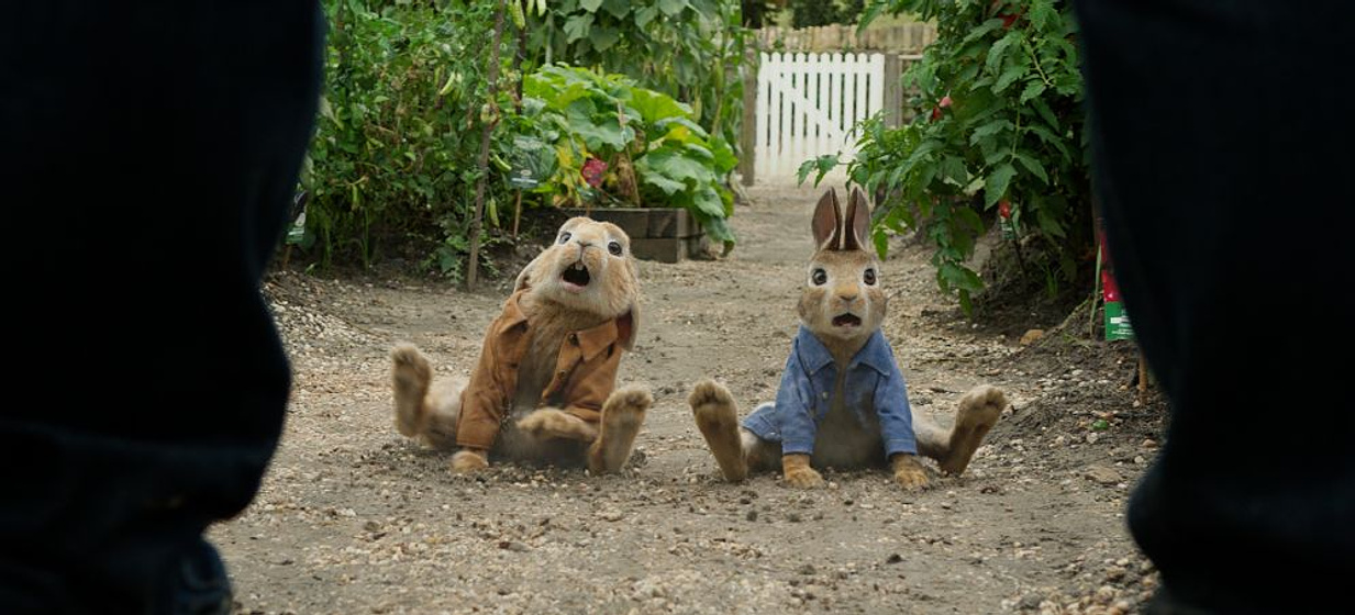 Imagen de Peter Rabbit