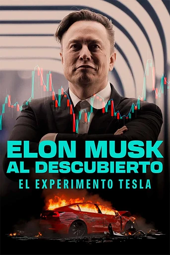 Poster de Elon Musk al descubierto