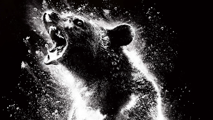 Imagen de Oso Vicioso