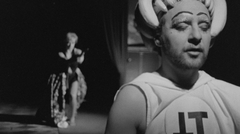 Imagen de Invasión Travesti