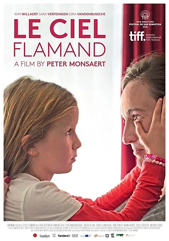 Poster de Le ciel flamand