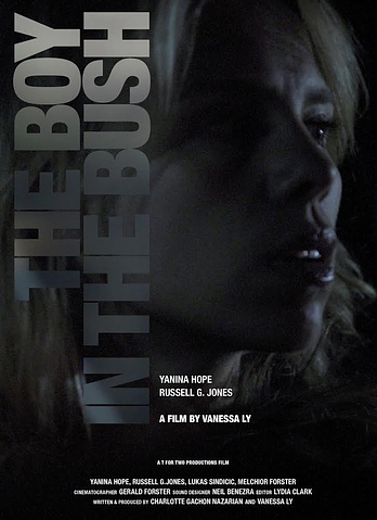 poster of content The Boy in the Bush