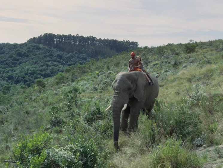 Imagen de viaje-magico-a-africa