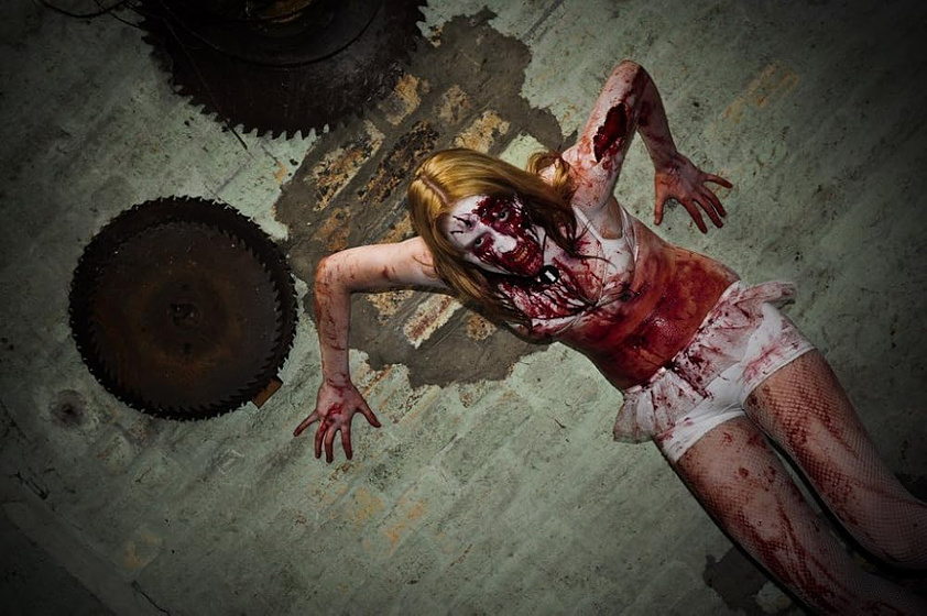 Imagen de Zombie Women of Satan