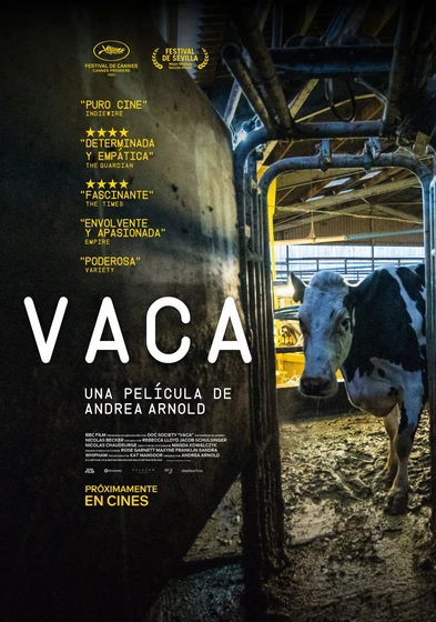 Imagen de vaca (Cartel español)