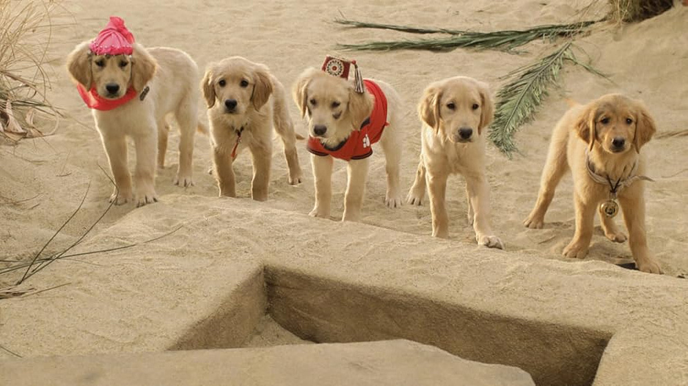 Imagen de buddies-cazadores-de-tesoros