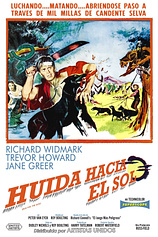 poster of movie Huida hacia el sol