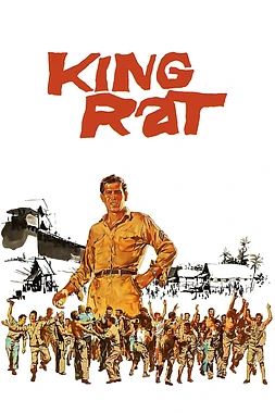 poster of movie King Rat