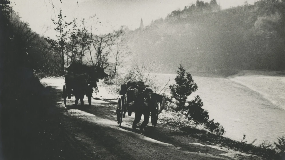 Imagen de the-song-of-the-cart