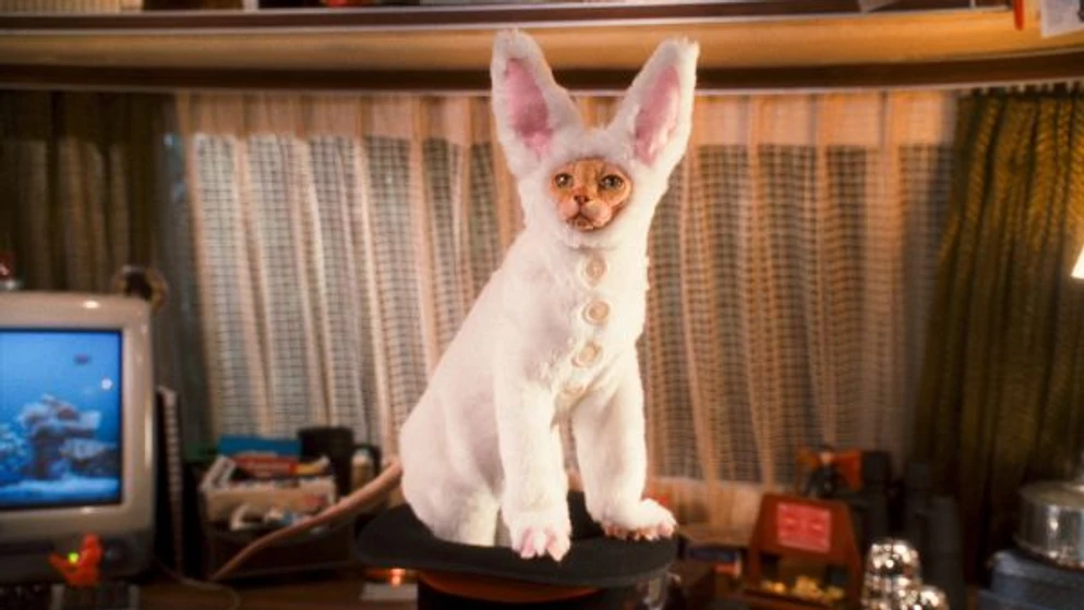 Imagen de como-perros-y-gatos-la-revancha-de-kitty-galore