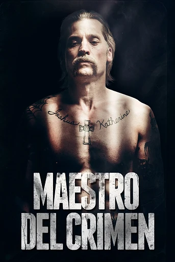 Poster de Maestro del Crimen