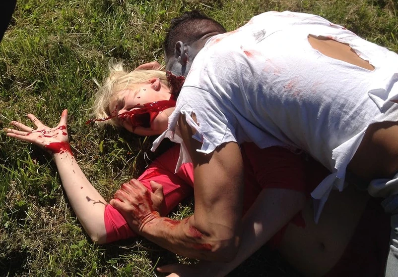 Imagen de housewife-alien-vs-gay-zombie