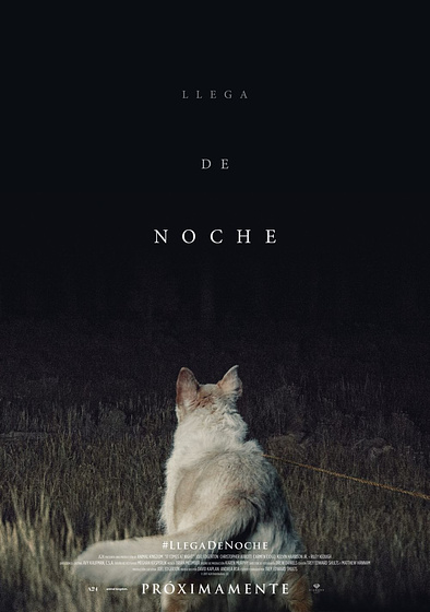 Imagen de Llega de Noche (Cartel teaser español)