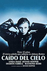 poster of movie Caído del cielo