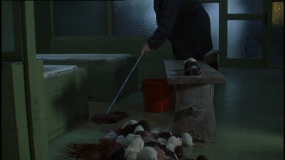 Imagen de Ratas en el Internado
