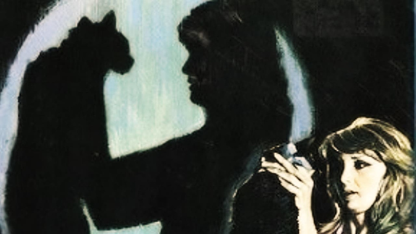 Imagen de Cazar un Gato Negro