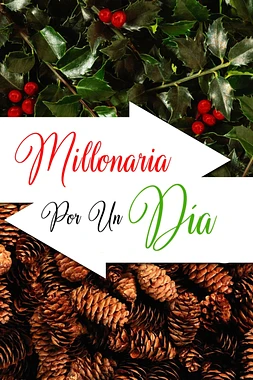 poster of movie Millonaria por un Día