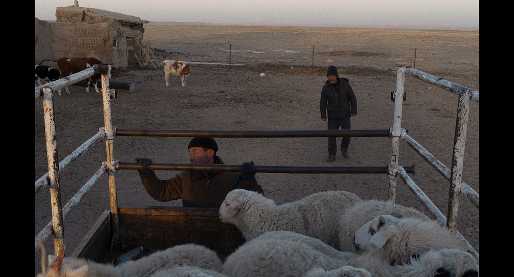 Saina en To Kill a Mongolian Horse