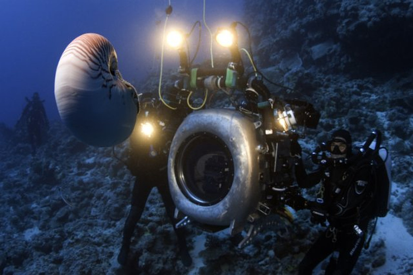 Imagen de Under the Sea 3D