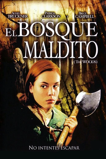 Poster de El Bosque Maldito