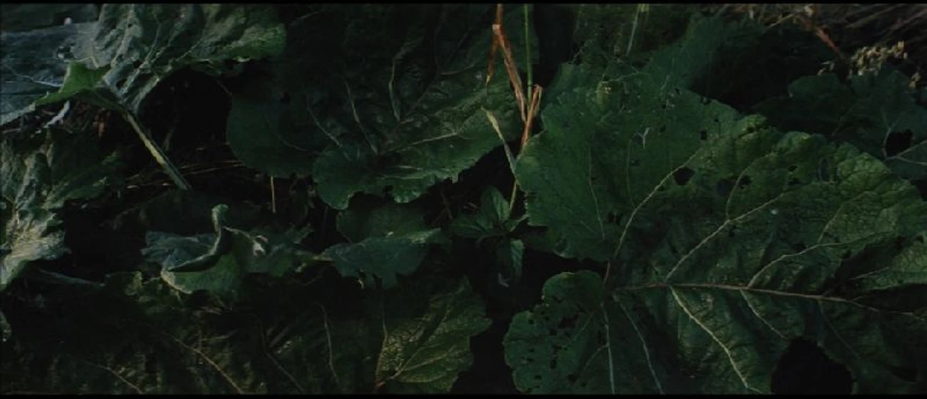 Imagen de Solaris