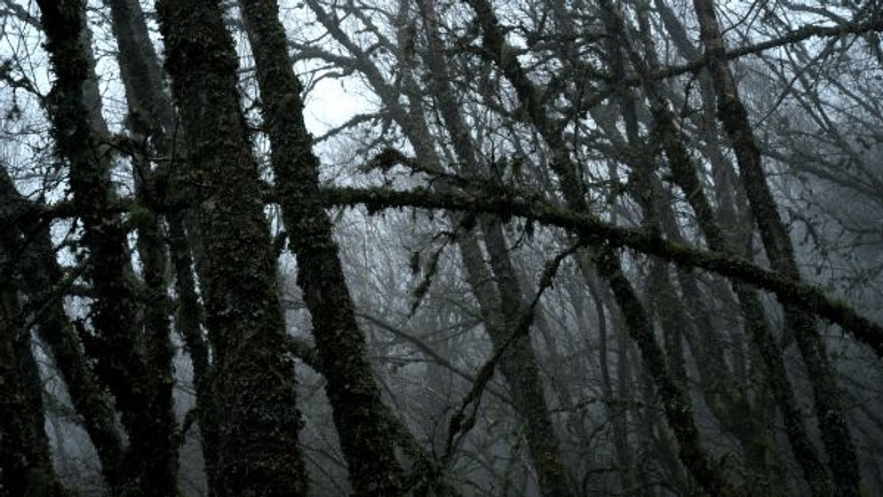 Imagen de Arraianos