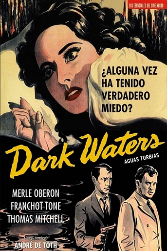 Poster de Aguas turbias