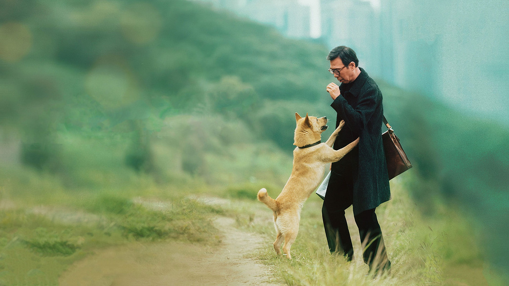 Imagen de Hachiko