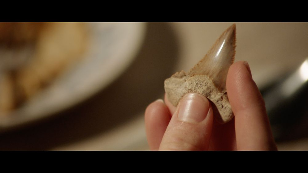 Imagen de A 47 metros 2: el Terror emerge