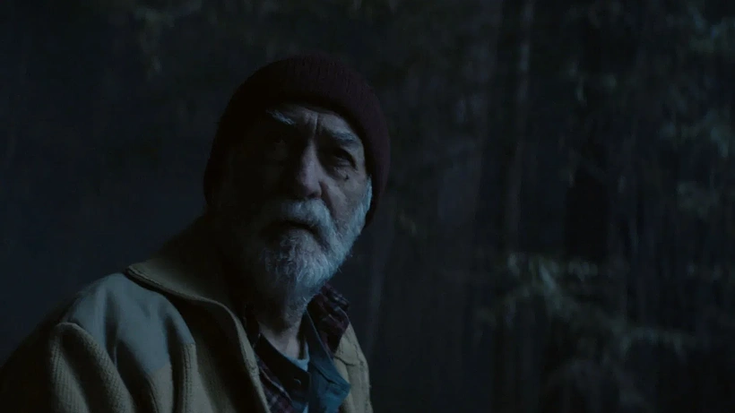 Imagen de Where the pines lament