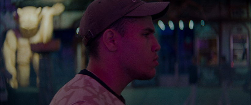 Imagen de The Lights, They Fall