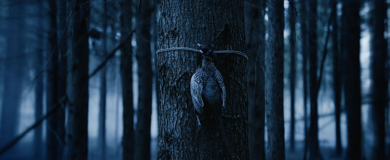 Imagen de bambi-la-venganza