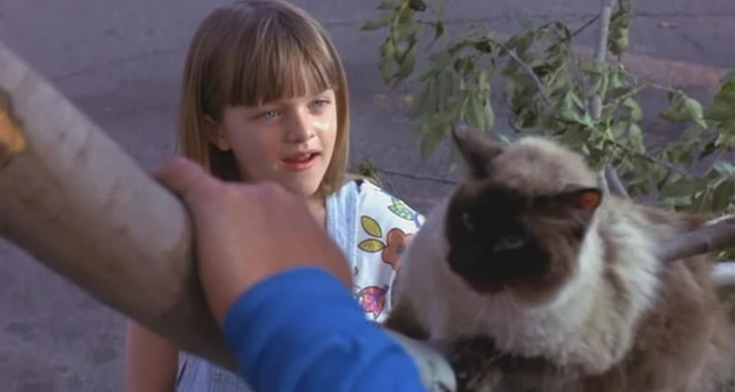 Elisabeth Moss en suburban-commando