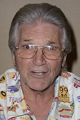 picture of actor Paul Petersen
